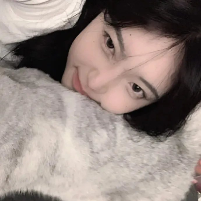 睡觉的笨蛋