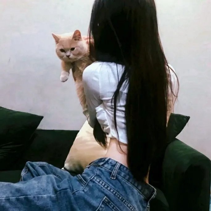 偷心画师